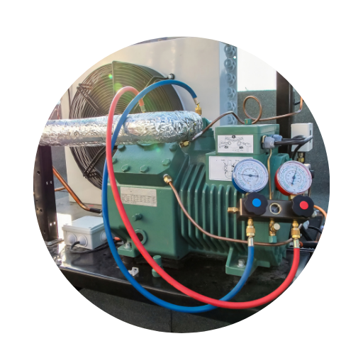 Sans titre (512 x 512 px) (512 x 512 px)